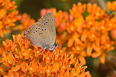 育碧发布《波斯王子：失落的王冠》易用性预告