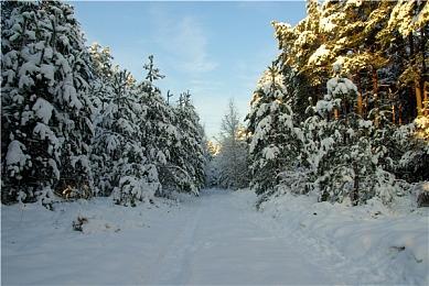 黑神话悟空发售日期是哪天？黑神话悟空什么时候上线？