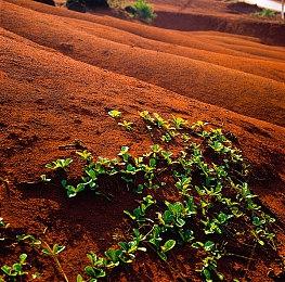 中世纪背景城市建造管理游戏《筑城记：中世纪》现已推出试玩Demo