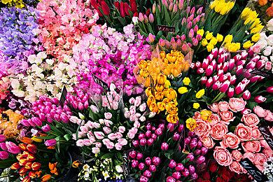 《地下城与勇士：决斗》将登陆Switch追加女剑神